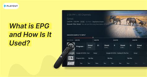 chanel 31 does not show epg only current|How to Troubleshoot EPG Issues in IPTV .